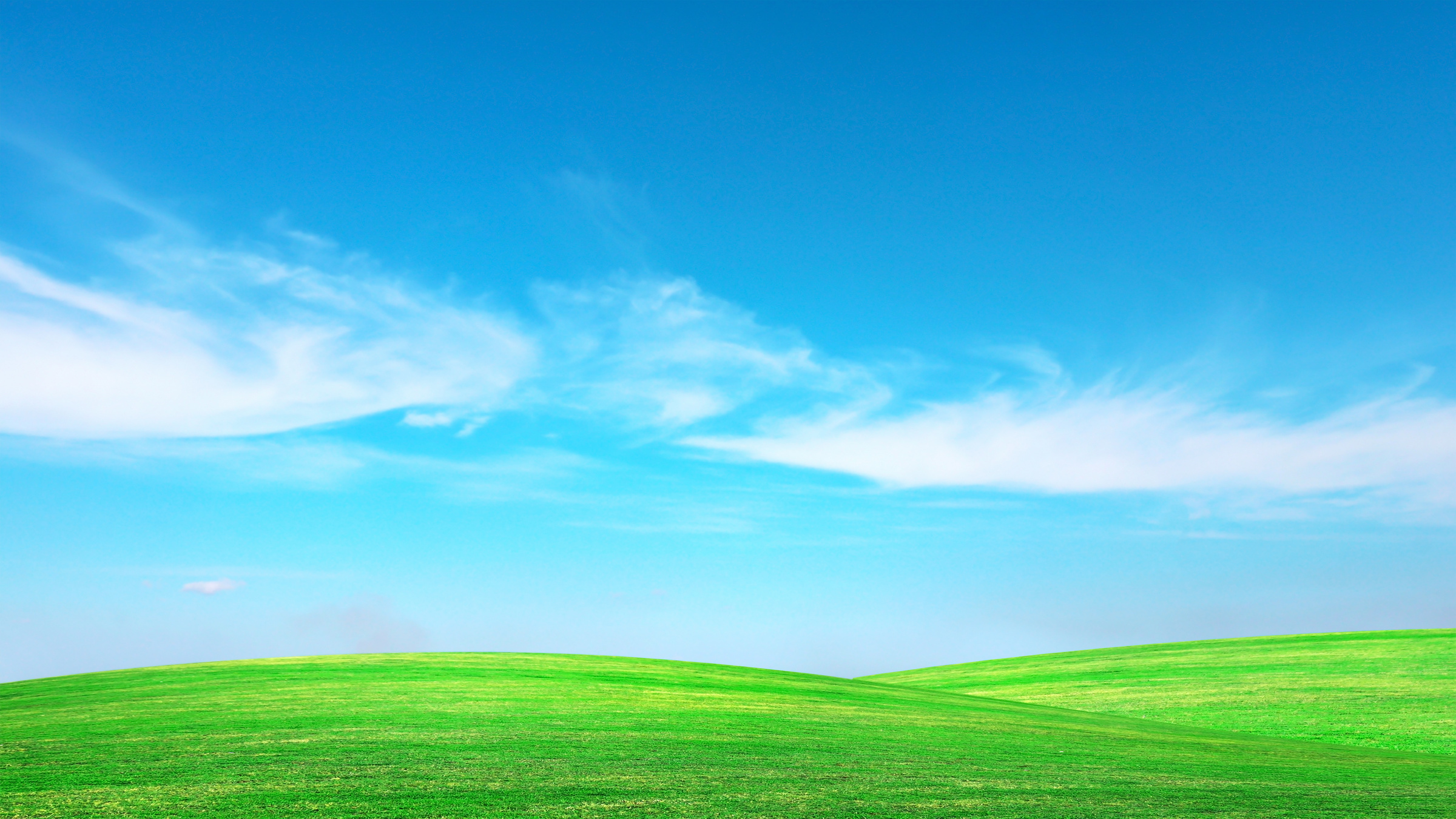 Clear Blue Sky and a Meadow